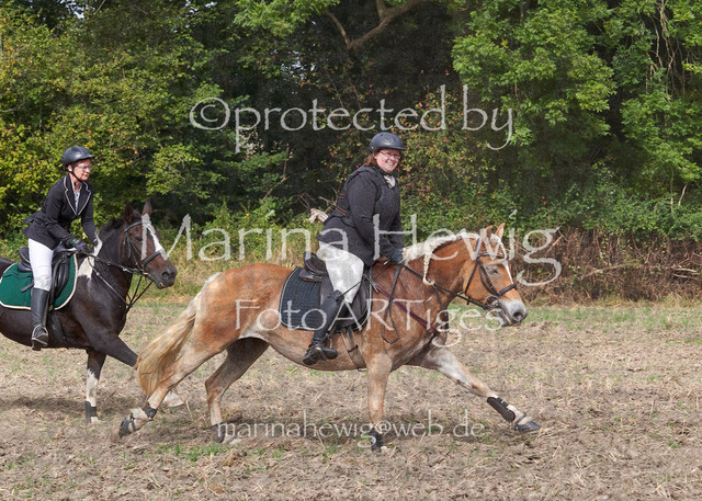 09-23 Jagd Perdöl_MCH9799_Marina Hewig | Fotografie, FotoArt, PferdesportArt, Pferdesportfotografie, Landschaftsfotografie, Reisefotografie, Reise, Pferde - Realisiert mit Pictrs.com