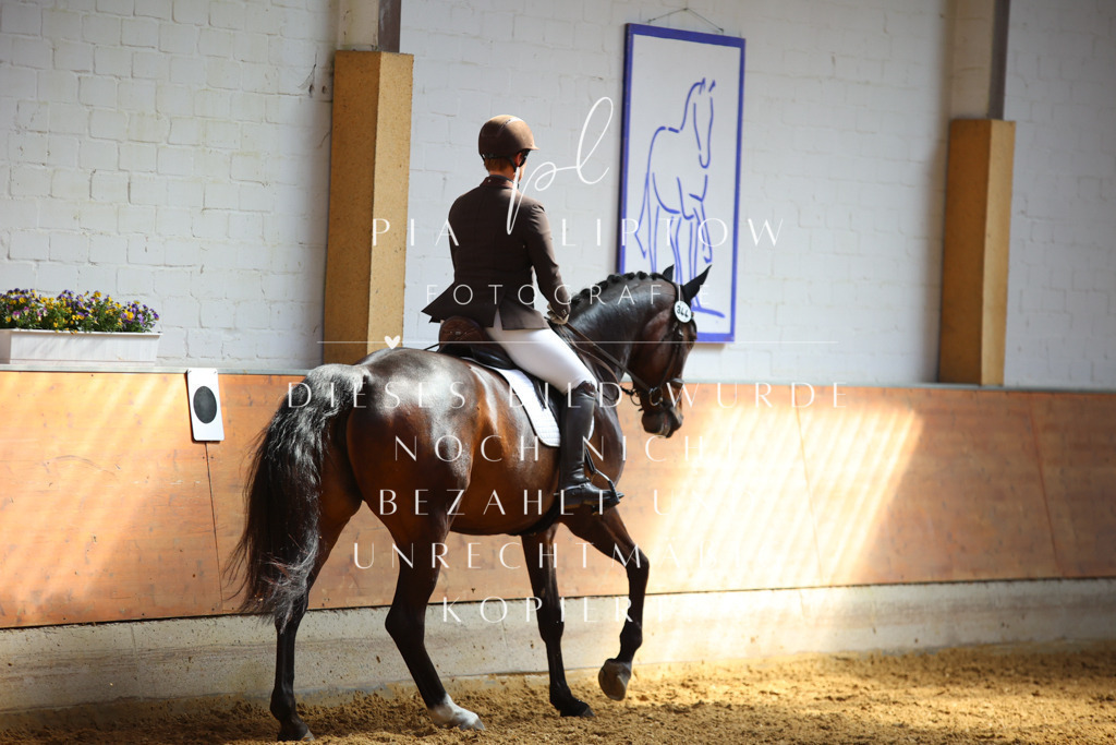 IMGT7226 | pl-fotografie