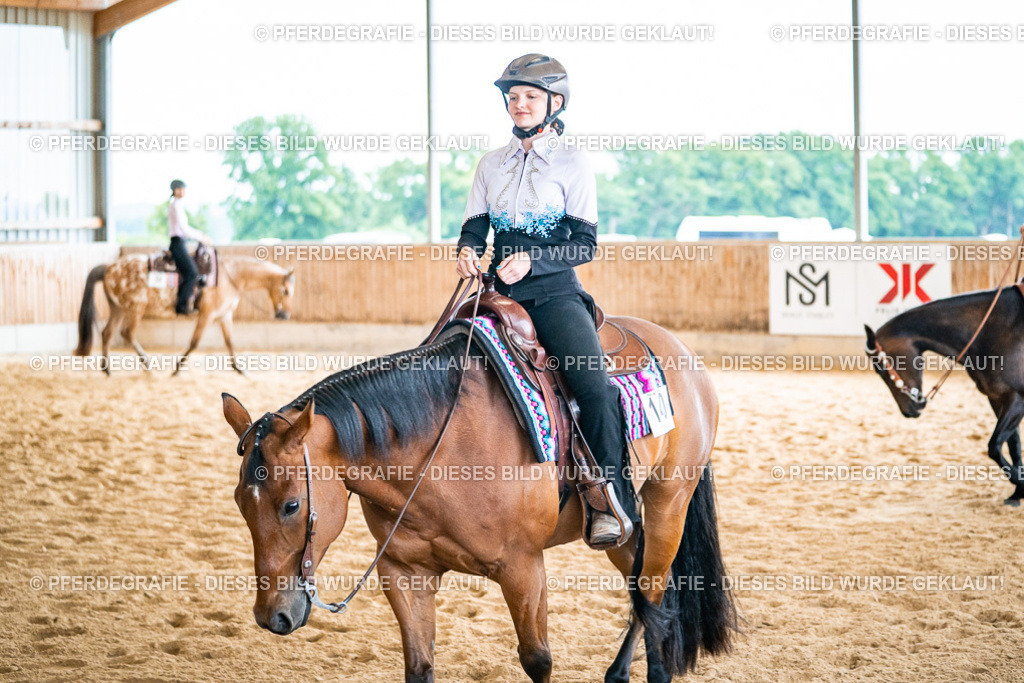 DSC02506 | Pferdegrafie