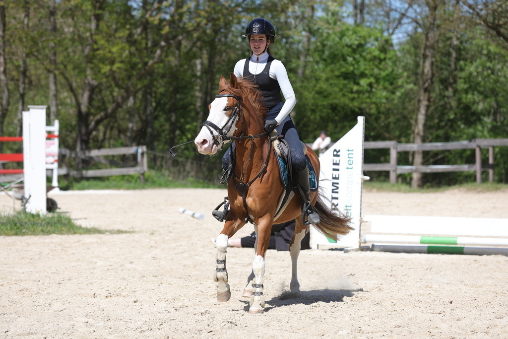 0P6A8804 | Willkommen bei Brunnmayr - Design & Fotografie – Ihrem Spezialisten für Reitturniere und Pferdeveranstaltungen in Oberösterreich, Salzburg und Bayern! Seit über 17 Jahren sind wir leidenschaftlich dabei.