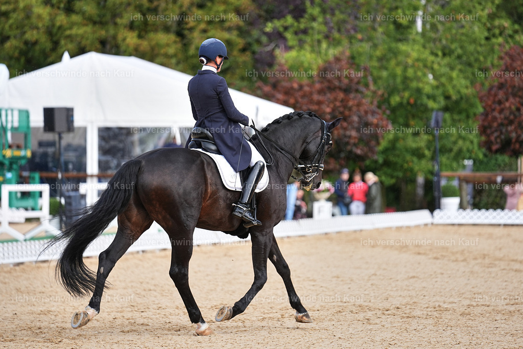 10-115-ST.GEORG SPECIAL -Marixx-3347 | working equitationturnier fotograf videograf stoibphotography marixx film working equitation deutschland reitsport turnierfotografie eventfotografie equestrian events