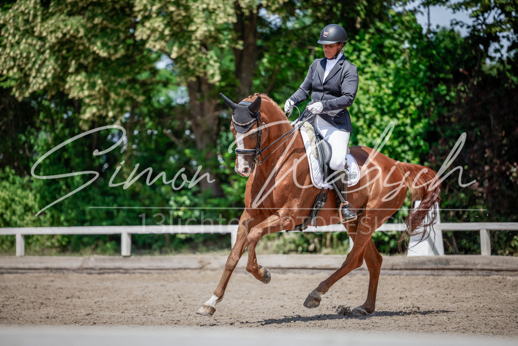 20250621-_3LI8457 | Tierfotografie Pferde, Hunde, Katzen, Haustiere.
Turnierfotografie Reitturniere, Reiten, Springreiten, Dressur in Hanau, dem Main-Kinzig-Kreis und dem Rhein-Main- Gebiet um Frankfurt