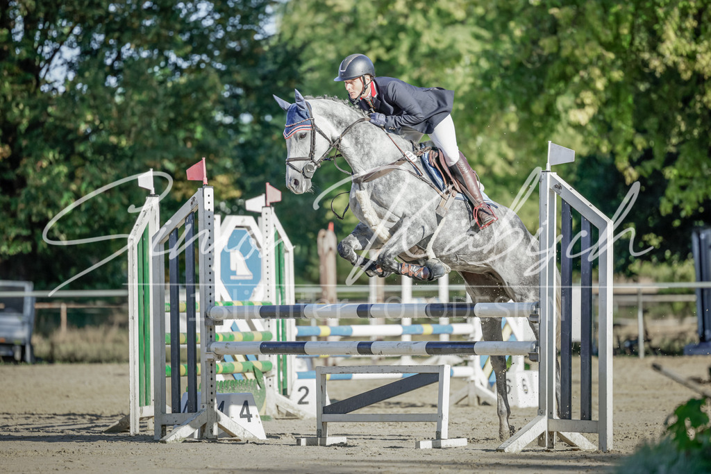 20250906-_3LI3047 | Tierfotografie Pferde, Hunde, Katzen, Haustiere.
Turnierfotografie Reitturniere, Reiten, Springreiten, Dressur in Hanau, dem Main-Kinzig-Kreis und dem Rhein-Main- Gebiet um Frankfurt