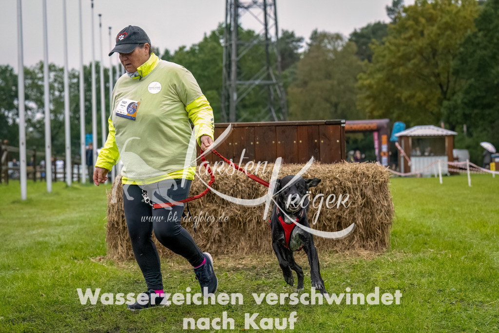 1027-2-13 | kk-dogfotos