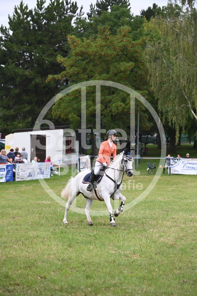 DSC_0550 | sattelsport - Realisiert mit Pictrs.com