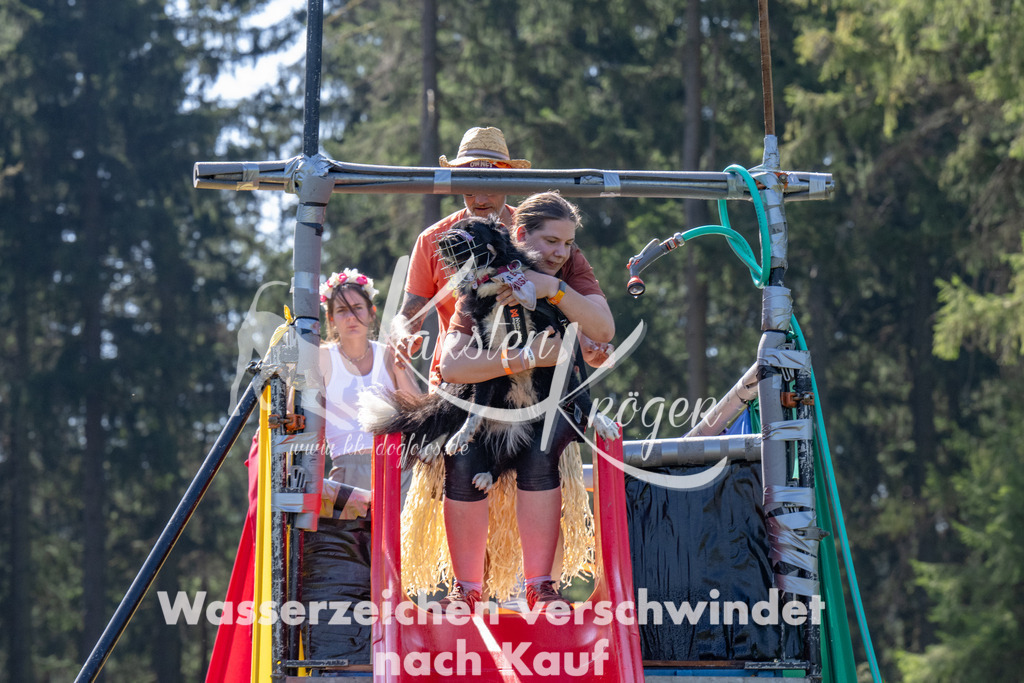 1228_ZZ91926 | kk-dogfotos