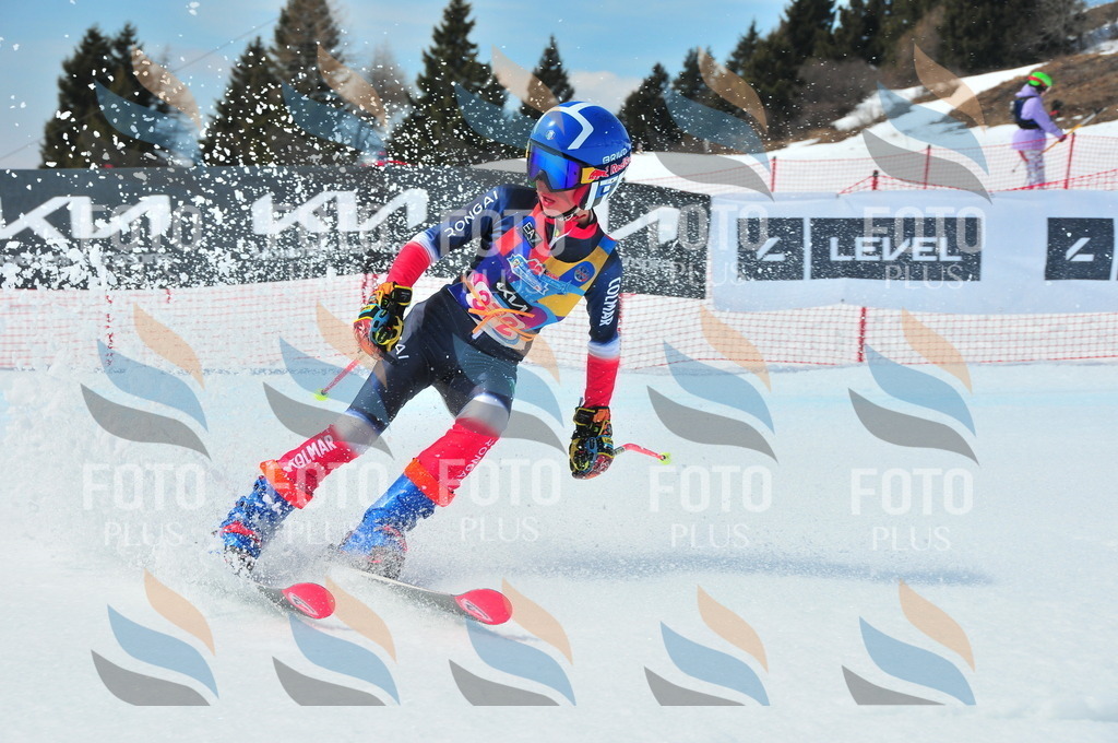 DSC_7154 | holidayphoto