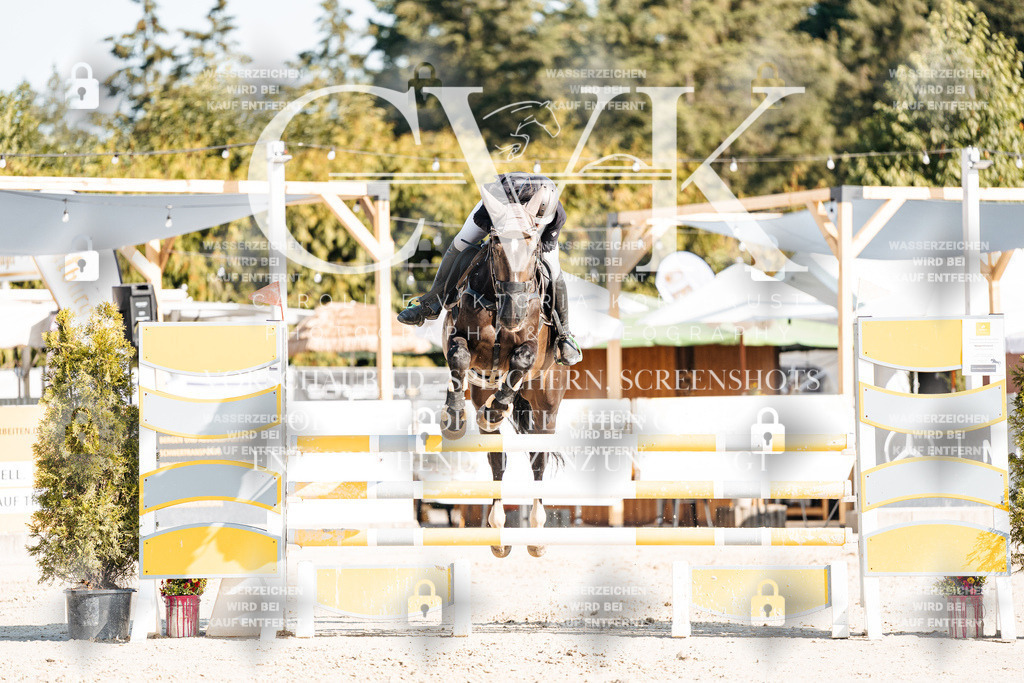 CK901912 | Turnierfotografie Pferdefotografie Trier Rheinland-Pfalz Pferdesport Reitsport Tierfotografie Sportfotografie Pferdevideo Pferdevideografie Equestrianvideography equestrianphotography  - Realisiert mit Pictrs.com