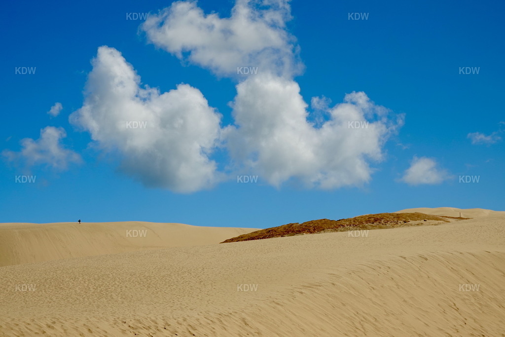 DSC05172 | Achtsame und abstrakte Bilder - monochrome Fotografien und Digital ART in Farbe, hole deinen persönlichen Kunstdruck nach Hause. Fotografien direkt vom Erzeuger. Achte auf meine Sonder-Editionen und Rabatt Aktionen im Shop. - Realisiert mit Pictrs.com