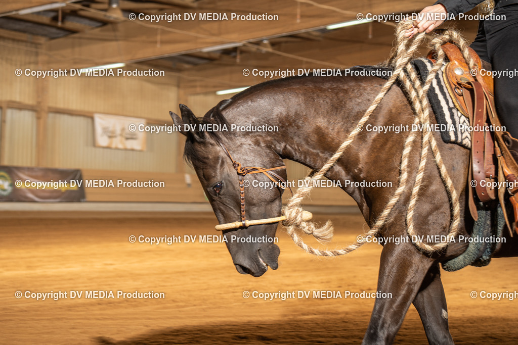 NID01824 | dv-media-shop - Realisiert mit Pictrs.com