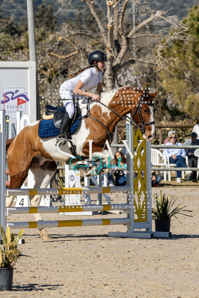 IMG_9062 | s-jay-photography - Realisiert mit Pictrs.com