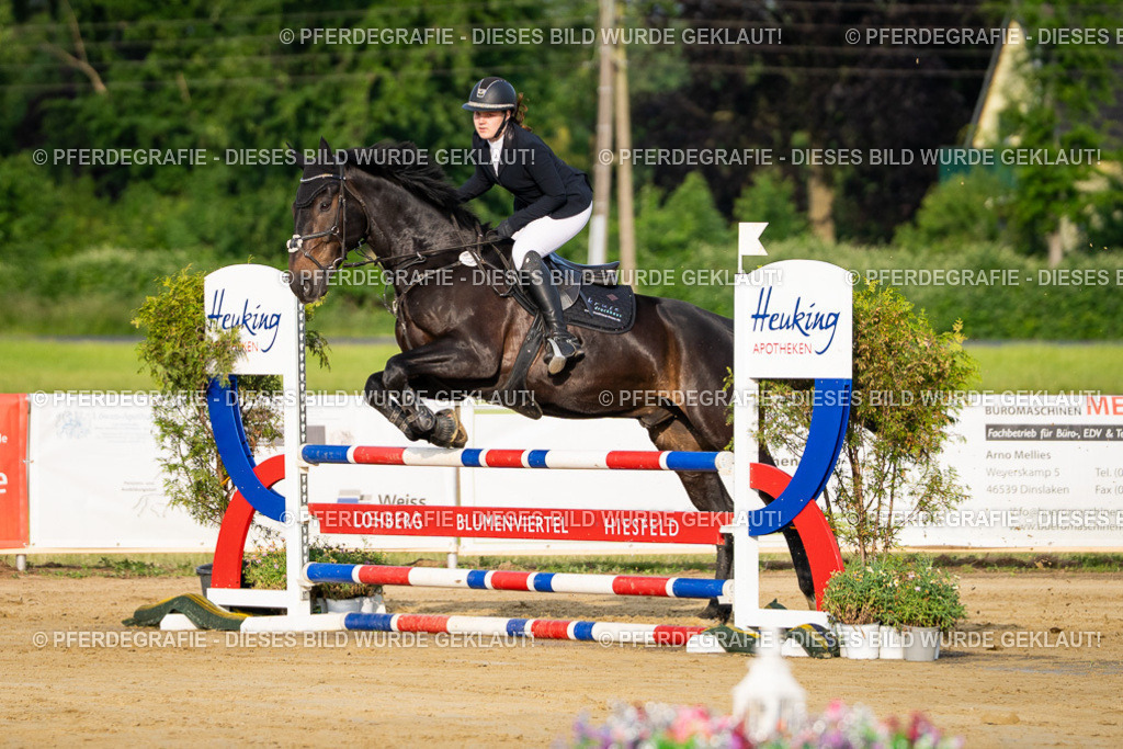 DSC02100 | Pferdegrafie