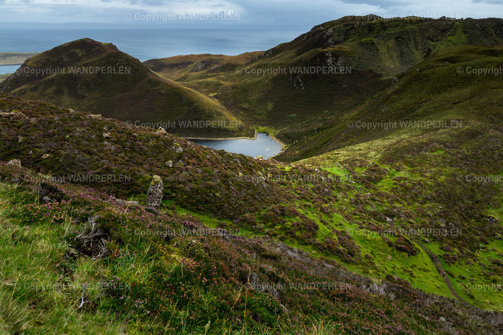 _DSC3683-vs2 | Großformatige Foto-Drucke in Galeriequalität – Wandperlen.de. Feine Details, brillante Farben, hochwertige Materialien und zuverlässige Lieferung für Home & Office.  - Realisiert mit Pictrs.com