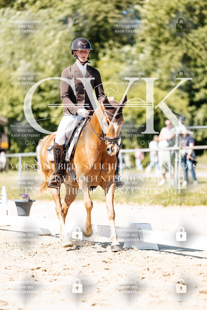 CK905565 | Turnierfotografie Pferdefotografie Trier Rheinland-Pfalz Pferdesport Reitsport Tierfotografie Sportfotografie Pferdevideo Pferdevideografie Equestrianvideography equestrianphotography  - Realisiert mit Pictrs.com
