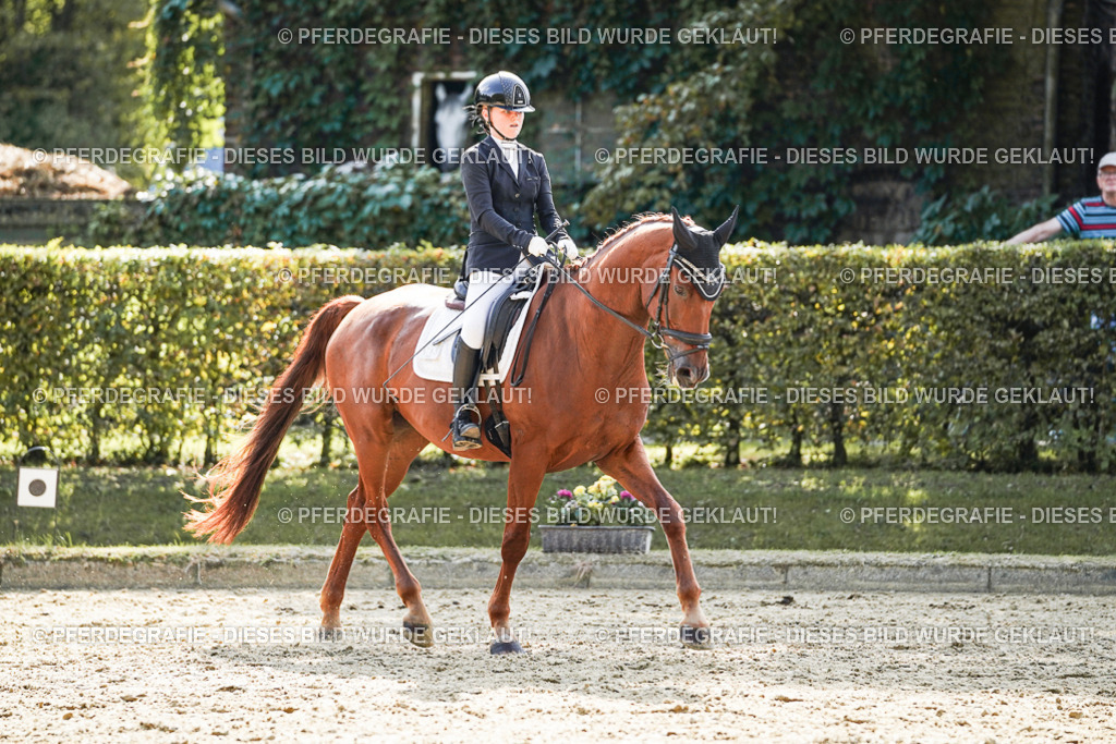 DSC08511 | Pferdegrafie