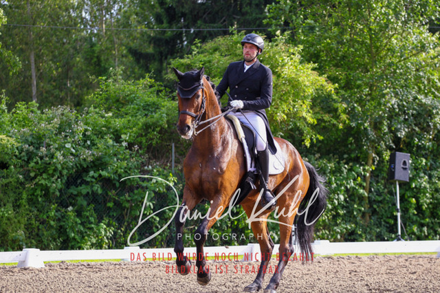 DKP41768 | Deine Turnierfotos vom Reitturnier online kaufen: Dressur, Springen & Siegerehrung. Professionelle Pferdefotografie aus dem Rheinland – als Download & Print.Alternative: Turnierfotograf für den Pferdesport: Finde deine Fotos von Dressur- und Springturnier