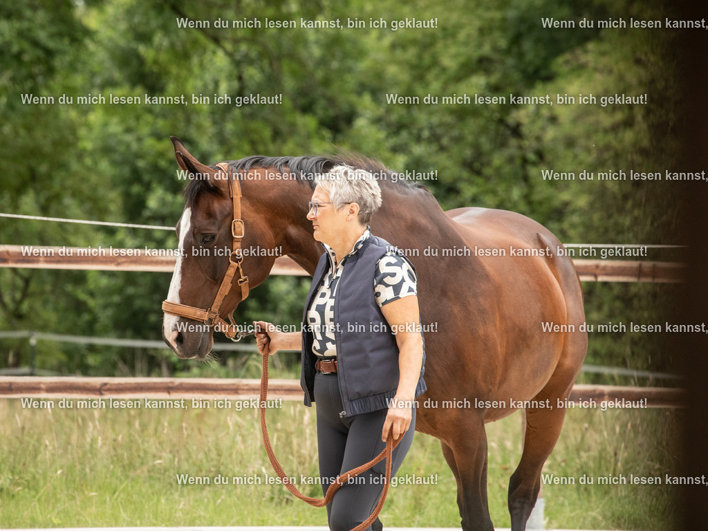 598A6223 | photographylinaismer - Realisiert mit Pictrs.com