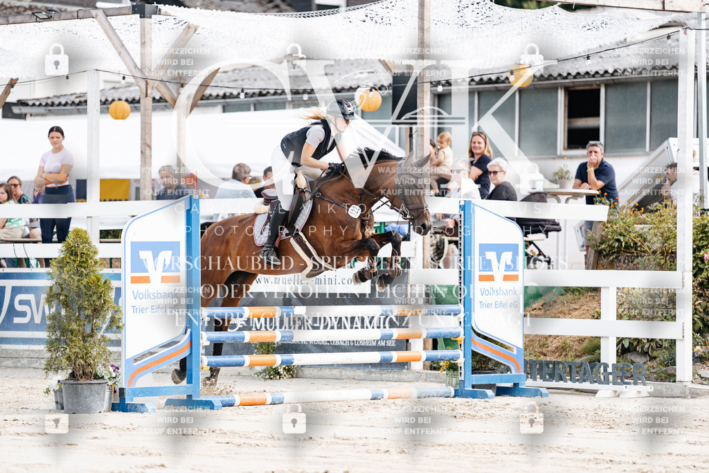 CK908970 | Turnierfotografie Pferdefotografie Trier Rheinland-Pfalz Pferdesport Reitsport Tierfotografie Sportfotografie Pferdevideo Pferdevideografie Equestrianvideography equestrianphotography  - Realisiert mit Pictrs.com