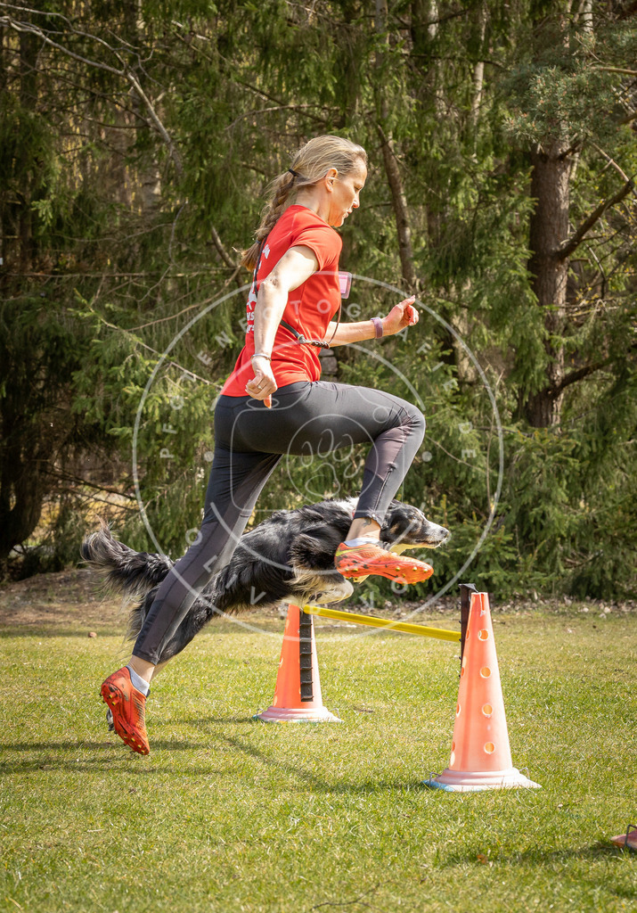 Pfotenfotografie_DV3A6578 | Hundefotografie, Tierfotograf, Pfotenfotografie, Fotoshooting Hund, Hunde Portrait, Hundesport, Hundeportraits, Heideshooting, Hunde, Sportfotograf, Hundefotograf, Turnierhundsport, THS,  - Realisiert mit Pictrs.com