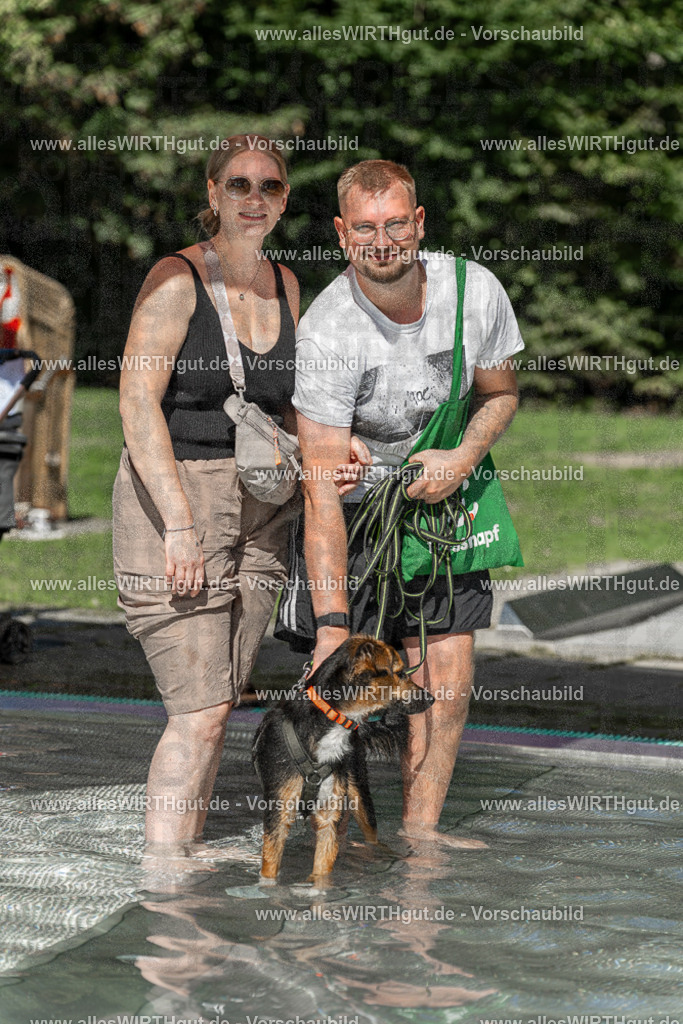 Hundeschwimmen_Volksbad_2026-allesWIRTHgut_Tierfotografie-2609061400-7R501008 | Professionelle Tierfotografie in Mönchengladbach von Daniel Wirth (allesWIRTHgut). Liebevolle & natürliche Bilder von Hunden & Katzen für unvergessliche Erinnerungen.