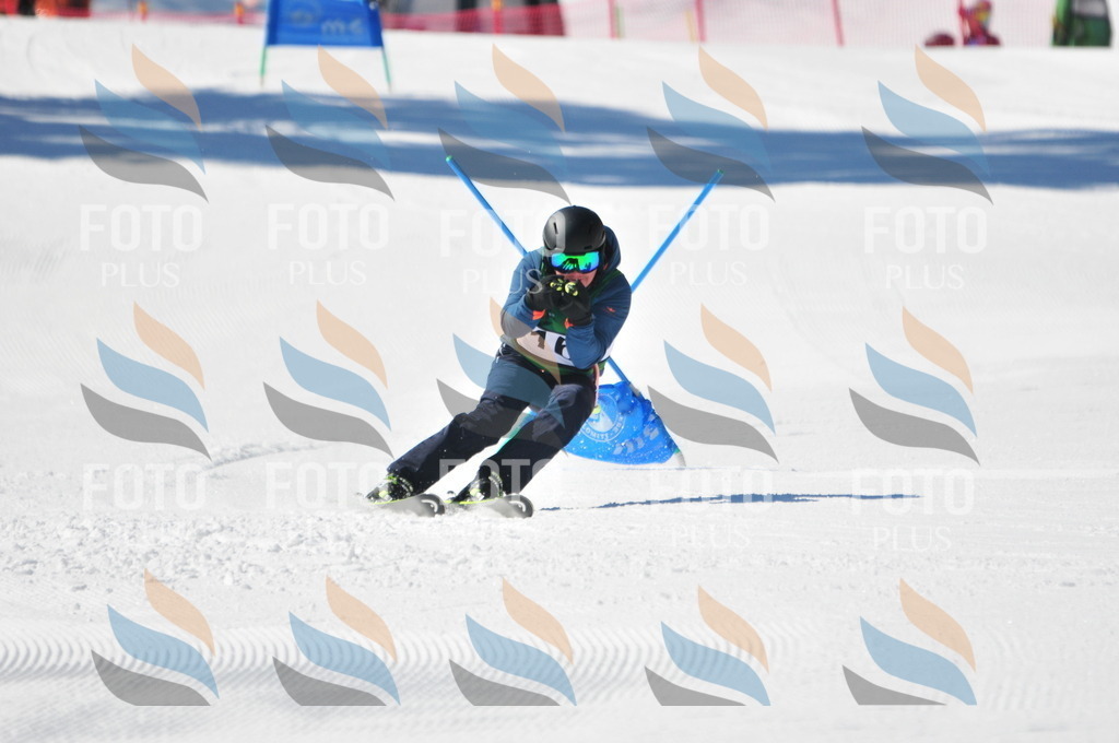 C3404 | holidayphoto