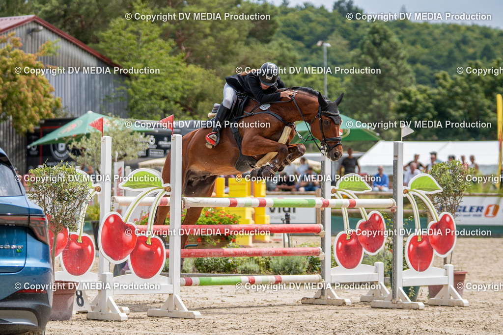 Hessische Tag 3-1456 | dv-media-shop - Realisiert mit Pictrs.com