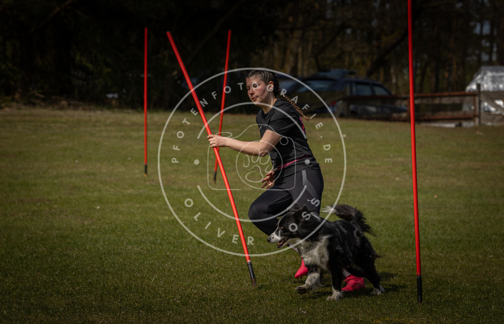 Pfotenfotografie_DV3A4989 | Hundefotografie, Tierfotograf, Pfotenfotografie, Fotoshooting Hund, Hunde Portrait, Hundesport, Hundeportraits, Heideshooting, Hunde, Sportfotograf, Hundefotograf, Turnierhundsport, THS,  - Realisiert mit Pictrs.com