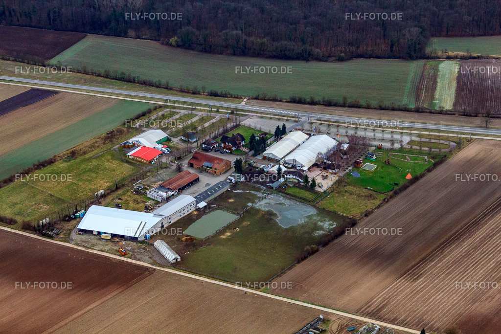 Adamshof | Luftbild: Adamshof in Kandel im Bundesland Rheinland-Pfalz in Deutschland. Foto: IMG_37285.jpg vom 23.01.2011 durch Werner Riehm/FLY-FOTO.de - Realisiert mit Pictrs.com