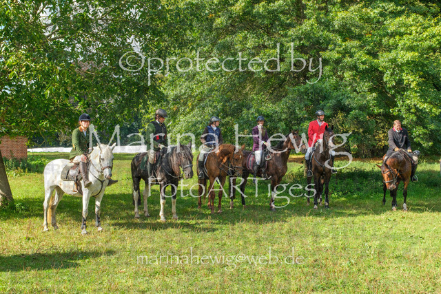 Jagd Perdoel_MarinaHewigDSCF3921 | Fotografie, FotoArt, PferdesportArt, Pferdesportfotografie, Landschaftsfotografie, Reisefotografie, Reise, Pferde - Realisiert mit Pictrs.com