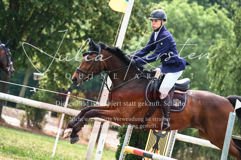 DSC_8400 | Pferde- und Turnierfotografie in Westsachsen. Pferdeportraits, Auftragszeichnungen und intuitive Kunst.