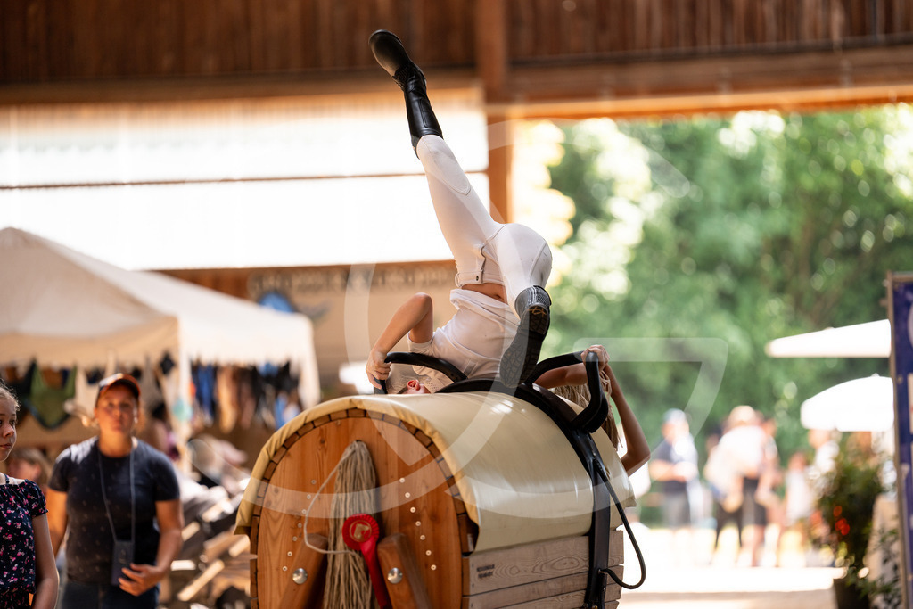 DSC01176 | Carolin Gieschke