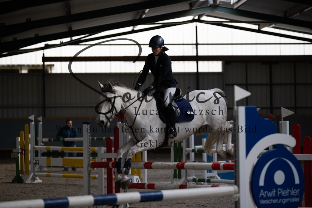 A7V08317 | Pferdefotograf