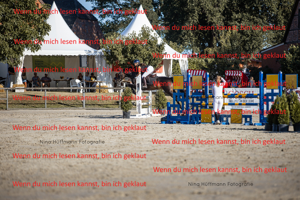BK1A7652 | Turnierbilder Turnierfotos Nina Hüffmann Turnierfotografie Pferdefotografie Tierzeichnung Haustierzeichnung Pferdezeichnung Hundezeichnung Videograf  - Realisiert mit Pictrs.com
