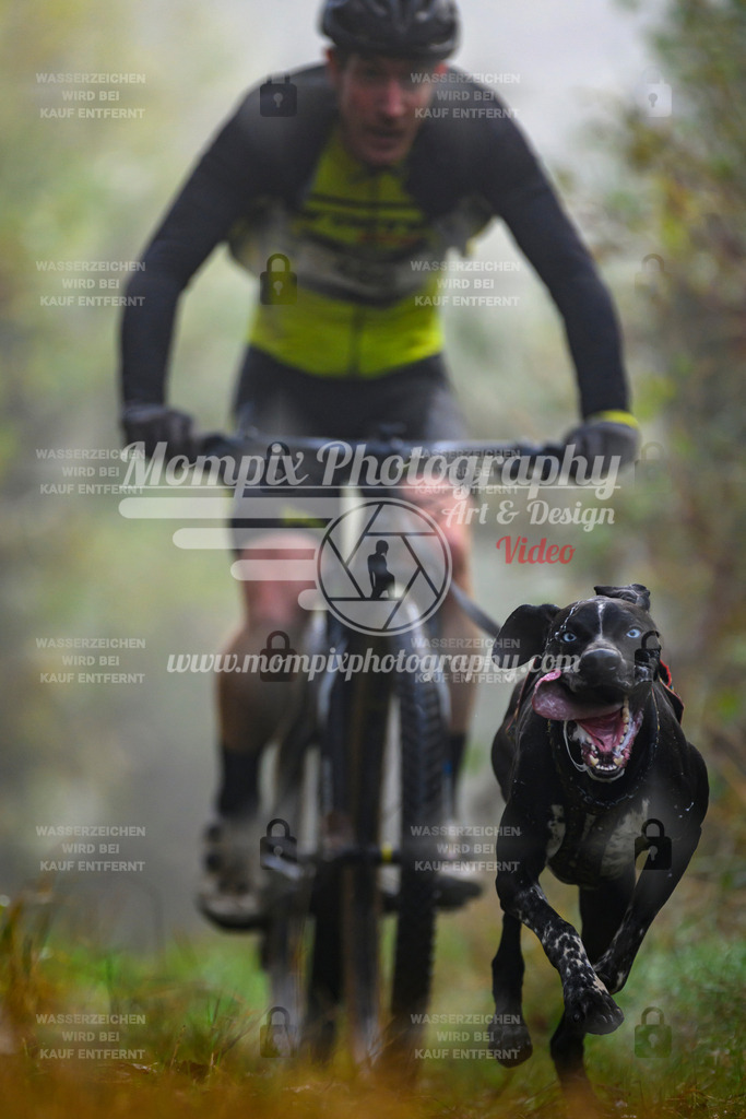 MompixPhotography_20TSB_E4_Bike-11 | PayLife