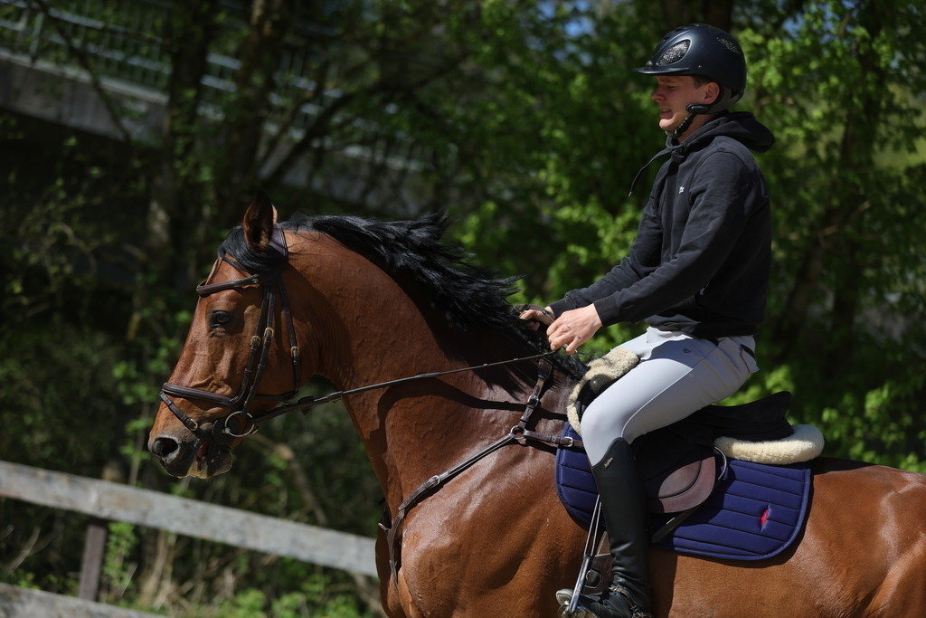 0P6A8112 | Willkommen bei Brunnmayr - Design & Fotografie – Ihrem Spezialisten für Reitturniere und Pferdeveranstaltungen in Oberösterreich, Salzburg und Bayern! Seit über 17 Jahren sind wir leidenschaftlich dabei.