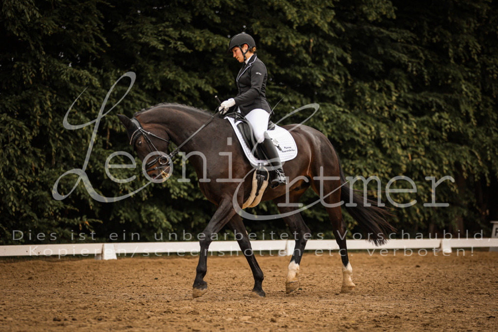 DoDrA200026 | Leoni Ertmer Photography - Realisiert mit Pictrs.com