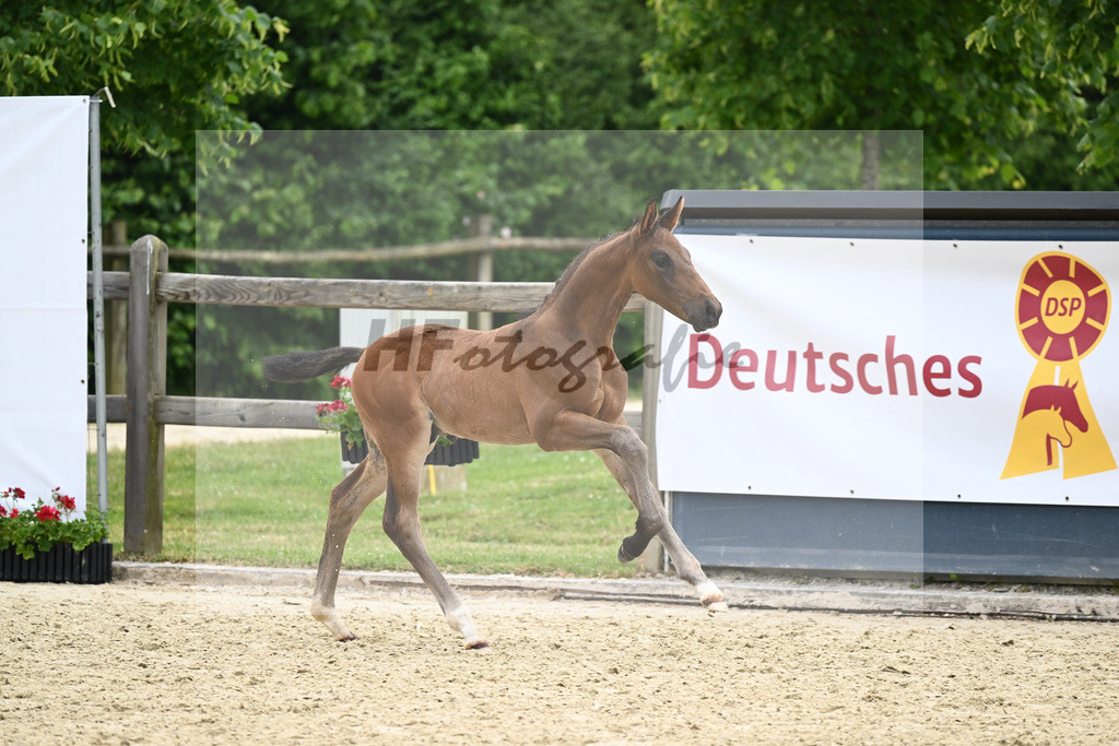 Kat-Nr. 24 HF Total Hope_Eder_17231132 | hf-fotografie - Realizzato con Pictrs.com