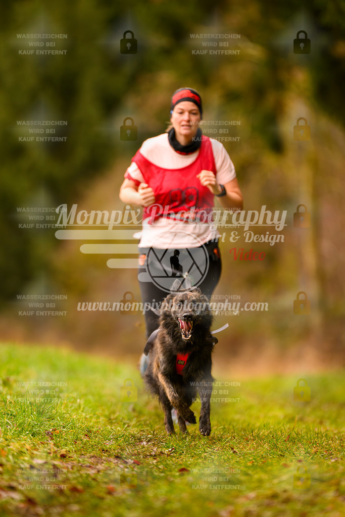 MompixPhotography_2SSTSSBW_2025_SO_Canicross-28 | PayLife