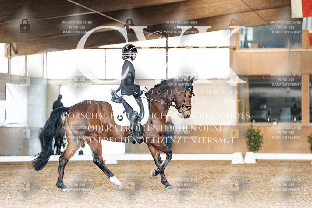 CK902009 | Turnierfotografie Pferdefotografie Trier Rheinland-Pfalz Pferdesport Reitsport Tierfotografie Sportfotografie Pferdevideo Pferdevideografie Equestrianvideography equestrianphotography  - Realisiert mit Pictrs.com
