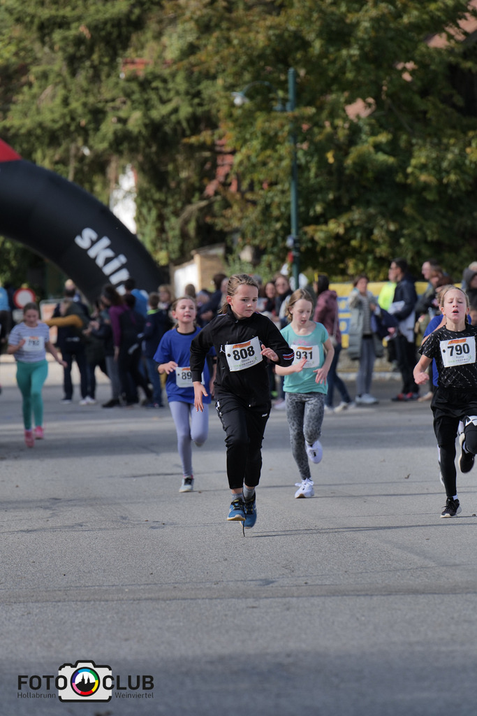 P1039420 | Foto Buchgraber