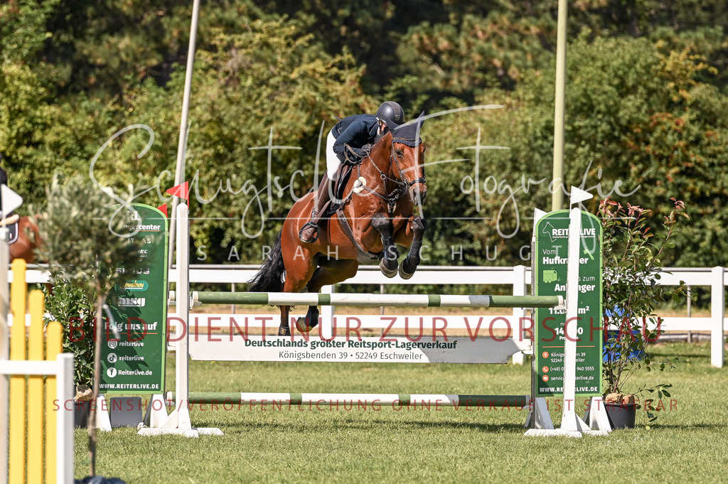 Schugtsche-Düren.2024-09.Springprf.L-142 | Schugtsche Fotografie - Realisiert mit Pictrs.com