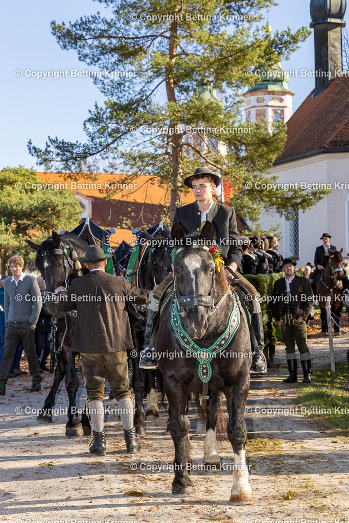 LBT25-1328 | foto-bettina-krinner - Realisiert mit Pictrs.com