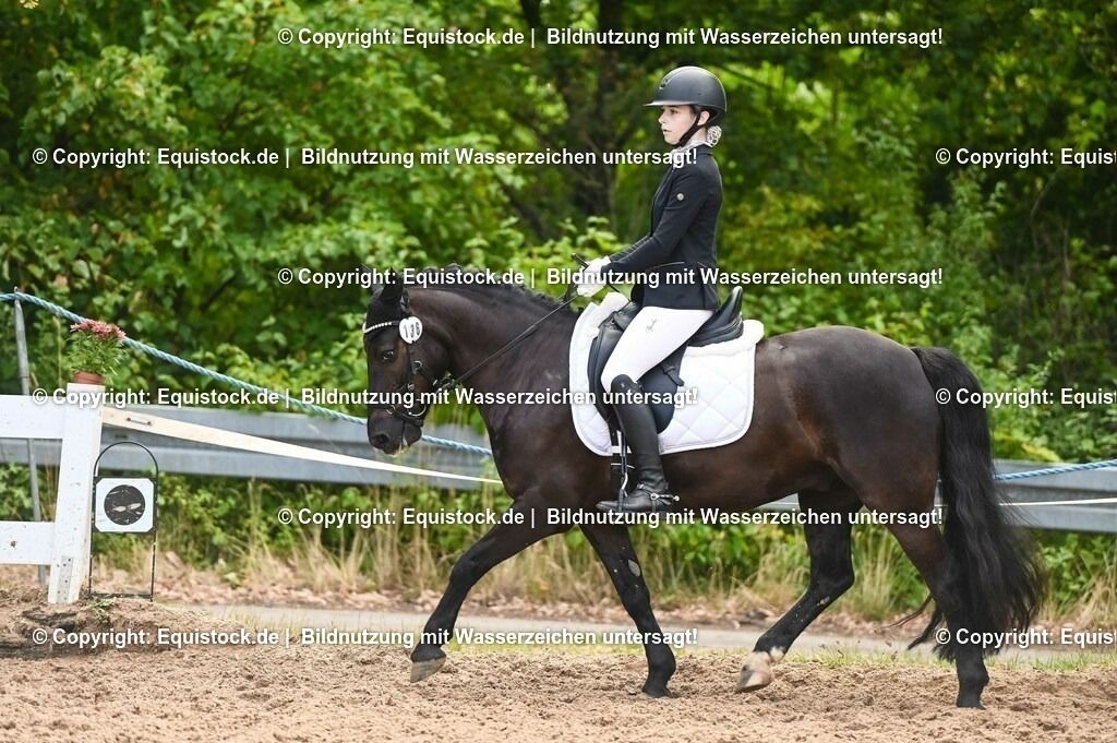 20230716_04_Dressurreiterprüfung Kl.A_0305 | equistock