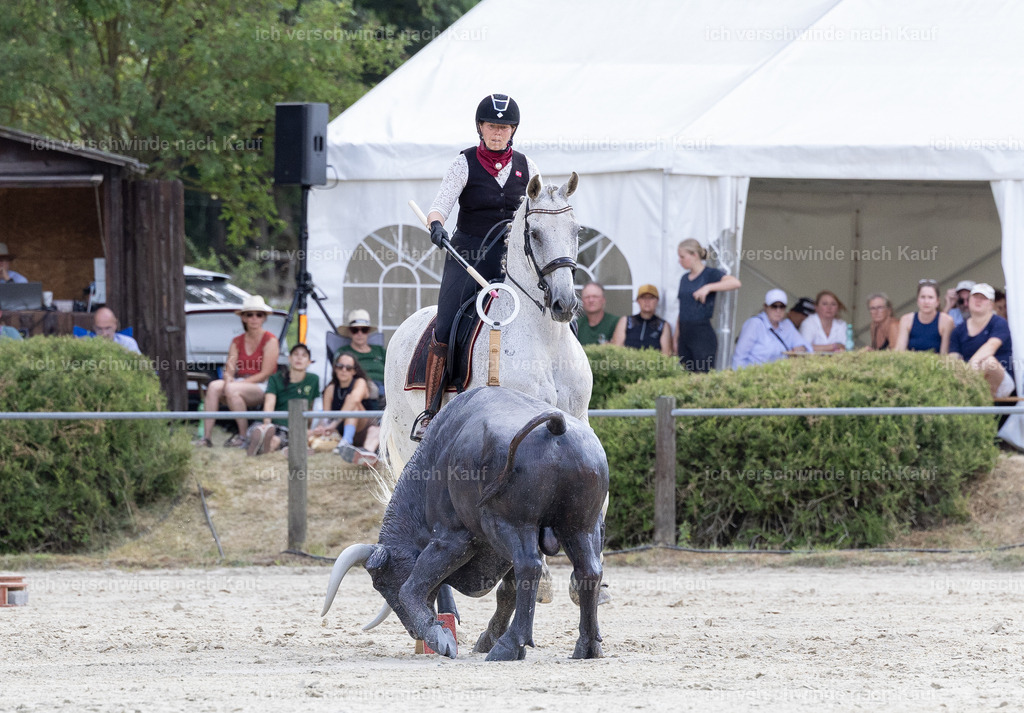 WS_SPEED_63_KerstinBernhardt-7 | working equitationturnier fotograf videograf stoibphotography marixx film working equitation deutschland reitsport turnierfotografie eventfotografie equestrian events