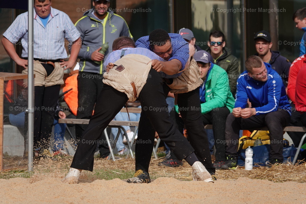 DSC00086 | Schwingen - Realisiert mit Pictrs.com