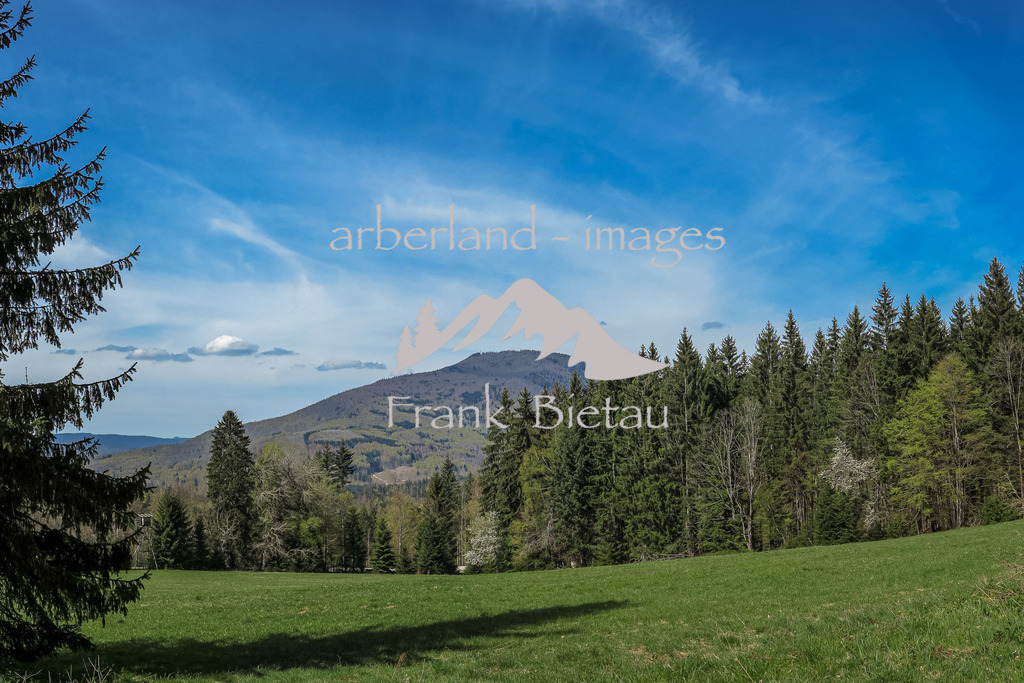 IMG_1965-Pano | der Grosse Falkenstein, im Nationalpark Bayerischer Wald