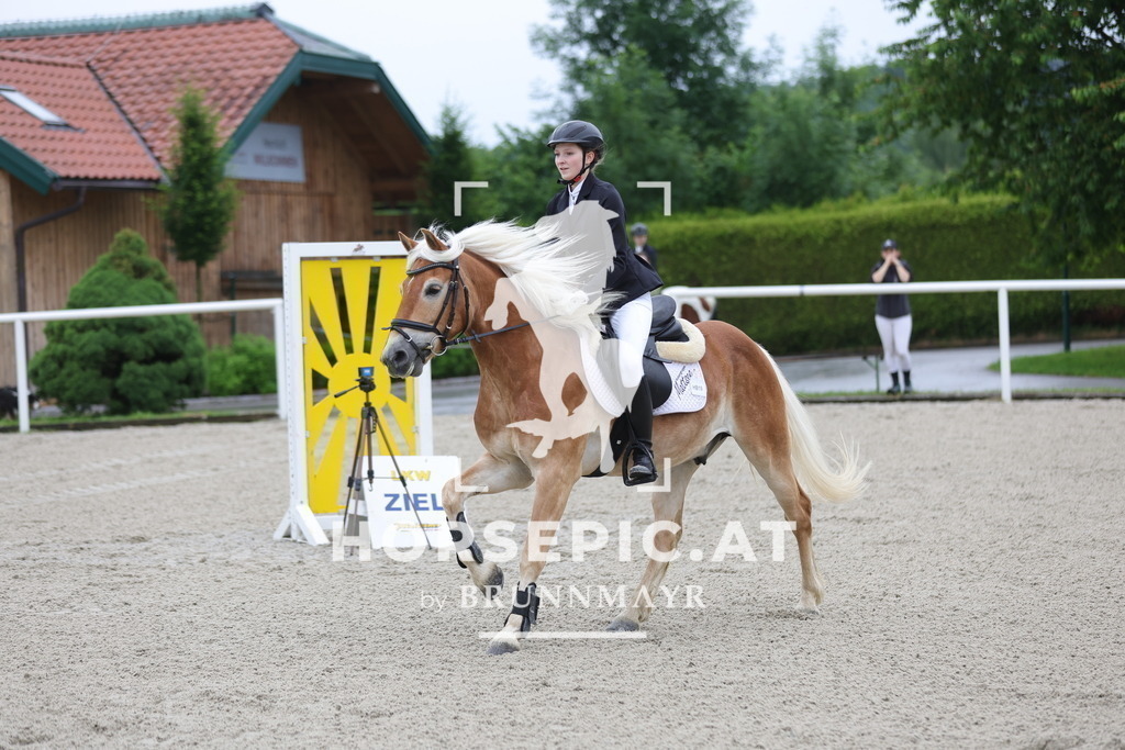 0P6A8456 | Willkommen bei Brunnmayr - Design & Fotografie – Ihrem Spezialisten für Reitturniere und Pferdeveranstaltungen in Oberösterreich, Salzburg und Bayern! Seit über 17 Jahren sind wir leidenschaftlich dabei.
