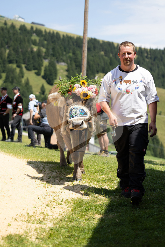 Rigi2025_2073 | Die Schwinger des Schwyzer Kantonalen Schwingerverbandes: Fotos, die Dynamik und Leidenschaft festhalten, sowie emotionale Momente aus dem traditionellen Schwingsport zeigen. - Realisiert mit Pictrs.com