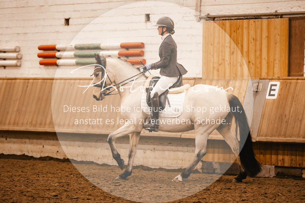 3I6A2746 | Stimmungsvolle Portraits und Reitsportfotografie im Ruhrgebiet und im Münsterland.

Pferdefotografie, Hundefotografie, Tierfotografie, Reportagen, Portraits von Tier und Mensch, Turnierfotografie in Bochum, Recklinghausen, Marl, Haltern am See, Dülmen.. - Realisiert mit Pictrs.com