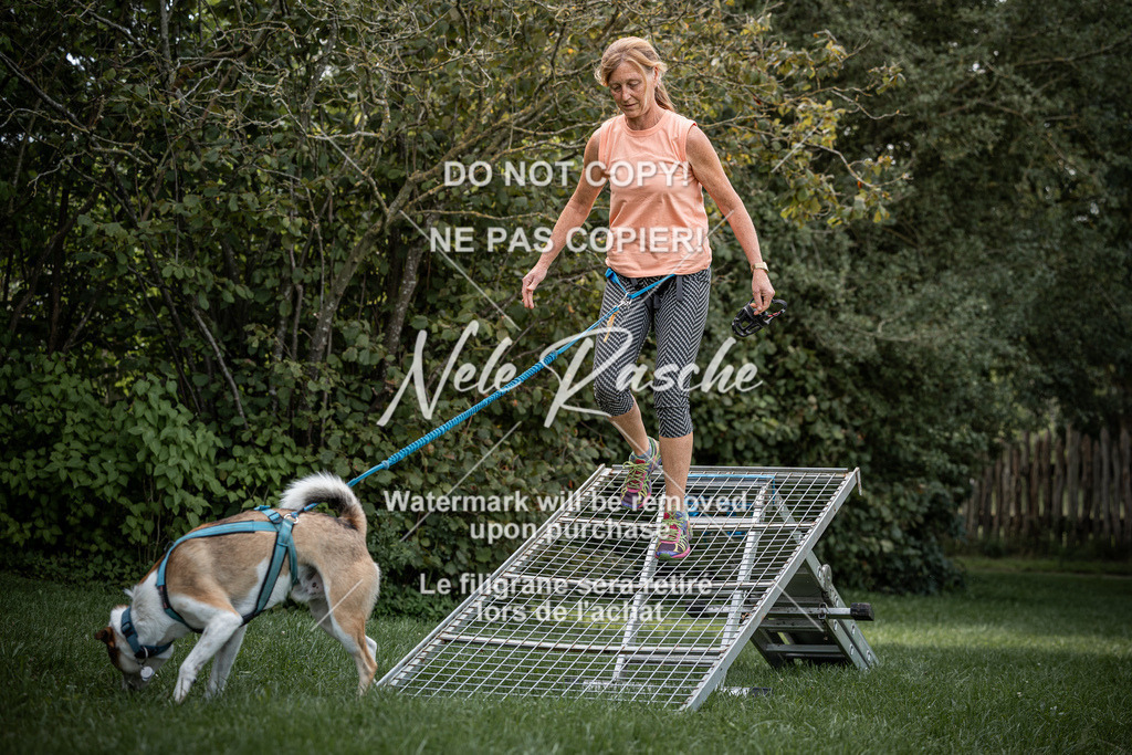 nelerasche_SoLauf_99 | nelerasche